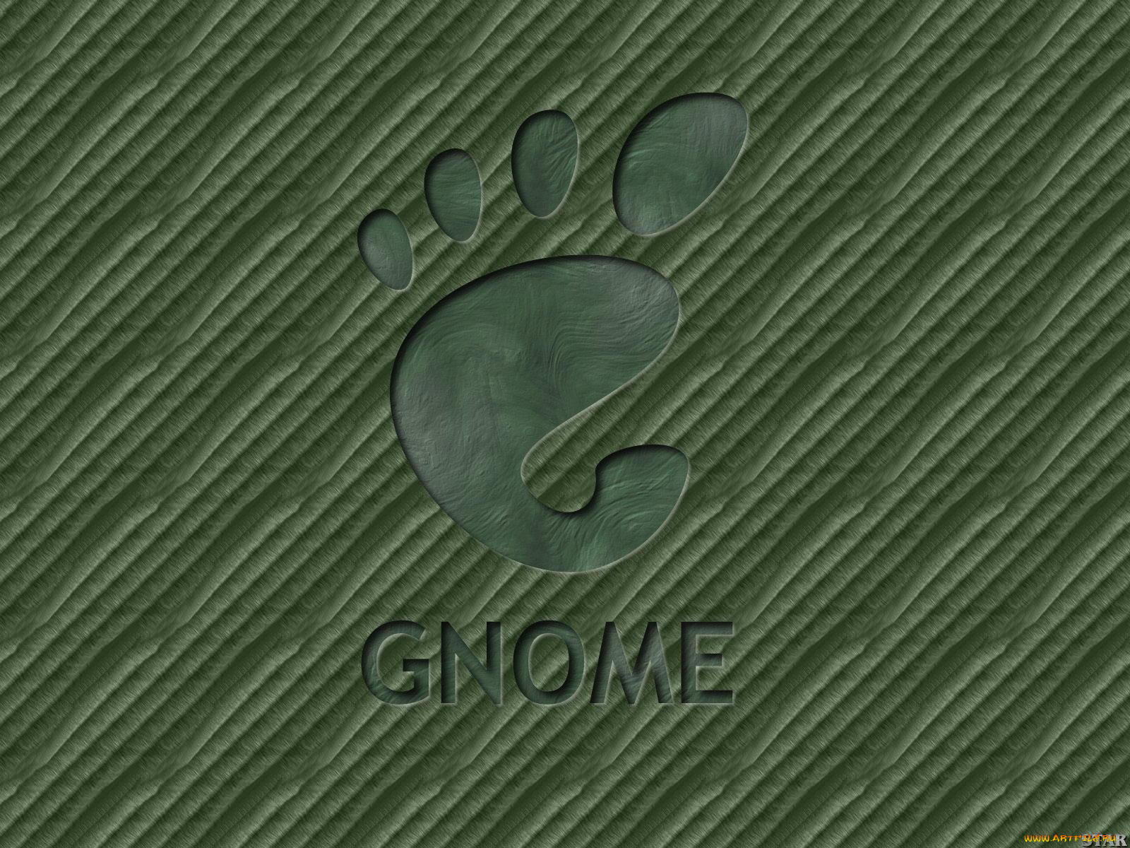 , gnome